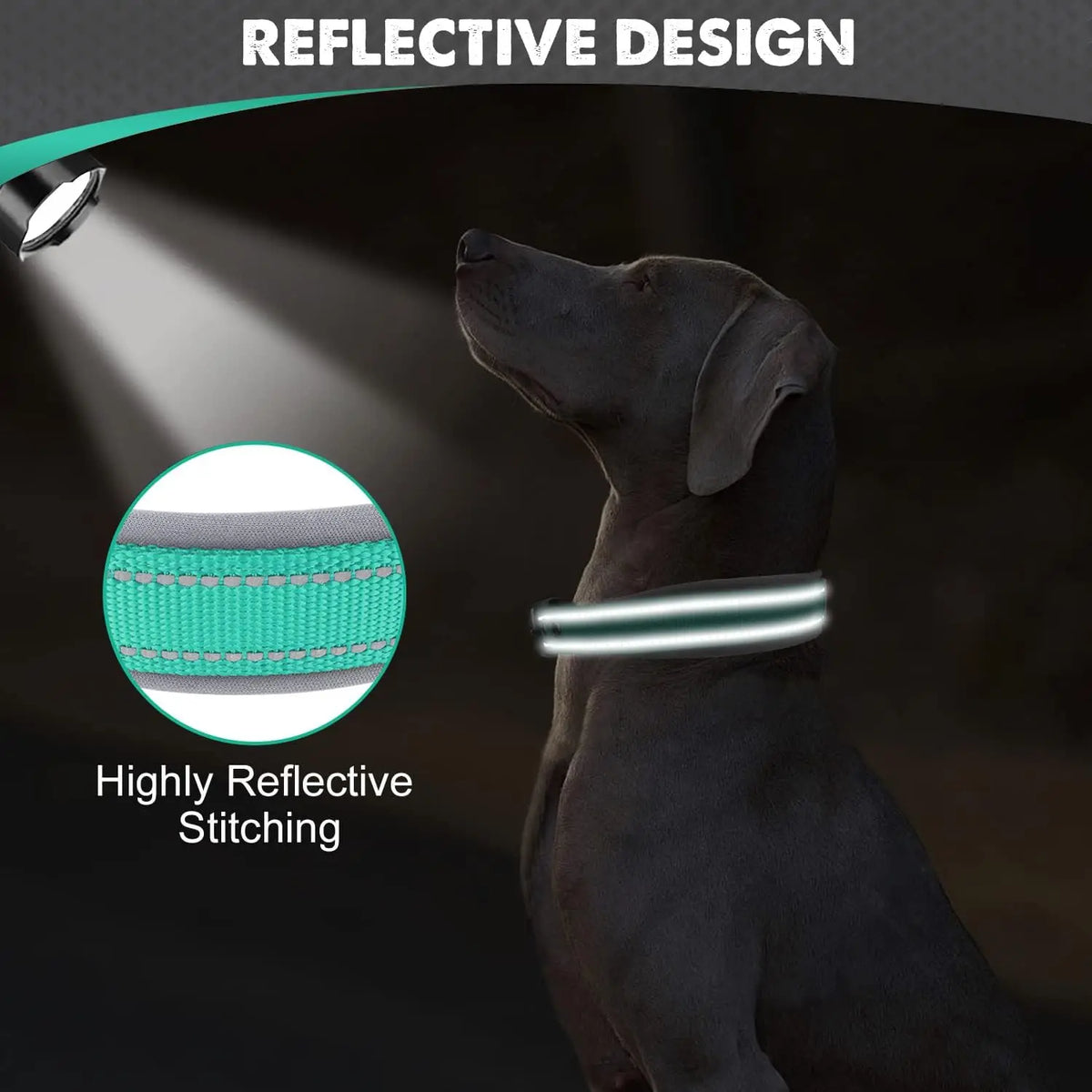 Heavy Duty Padded Dog Collar for Large Dogs, Reflective Nylon
