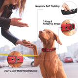Padded Reflective Dog Collar with Metal Buckle, Medium to Large Dogs