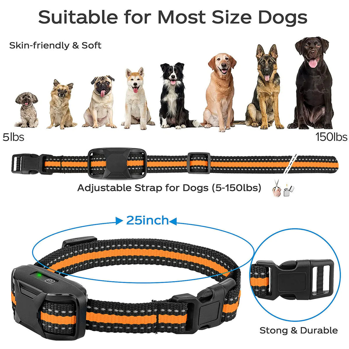 Remote Dog Training Collar with LCD Remote, 1 to 99 Levels