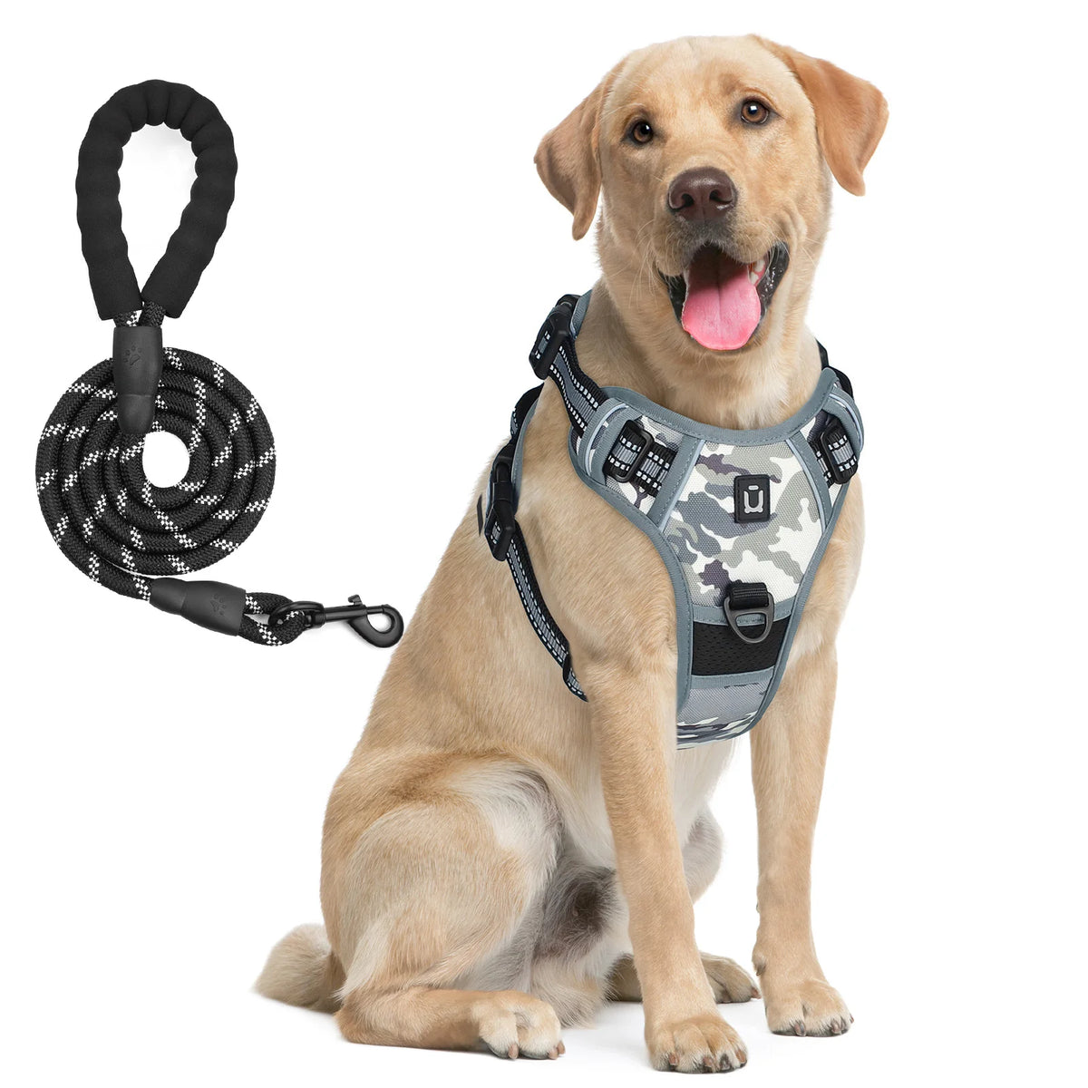 No Pull Dog Harness and Leash Set with Front and Back Clips