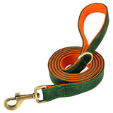 Personalized Dog Collar and Leash Set with Engraved Nameplate