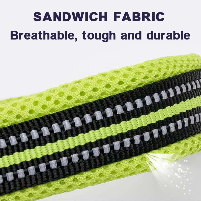 Soft Padded Dog Collar with Mesh Lining for Small to Large Dogs