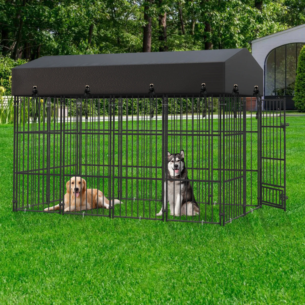 Outdoor Dog Kennel with Roof, Heavy Duty Metal Run