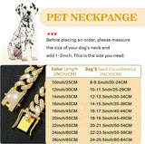Gold Chain Dog Collar, Stainless Steel Pet Necklace