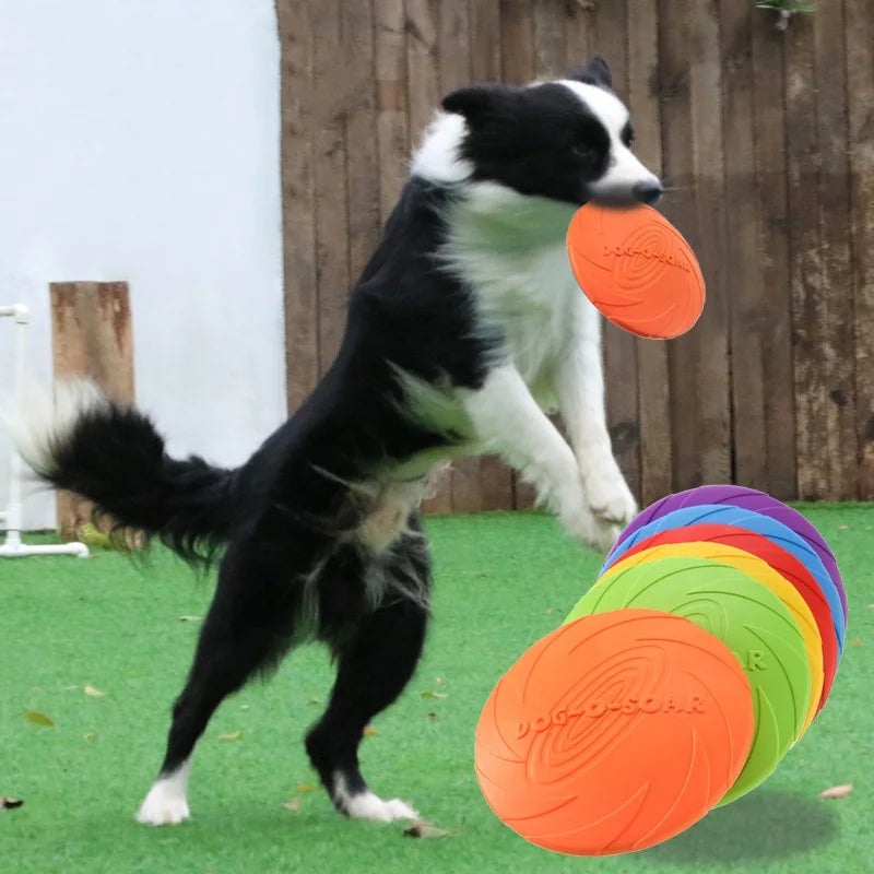 Soft Dog Flying Disc for Fetch, 3 Sizes