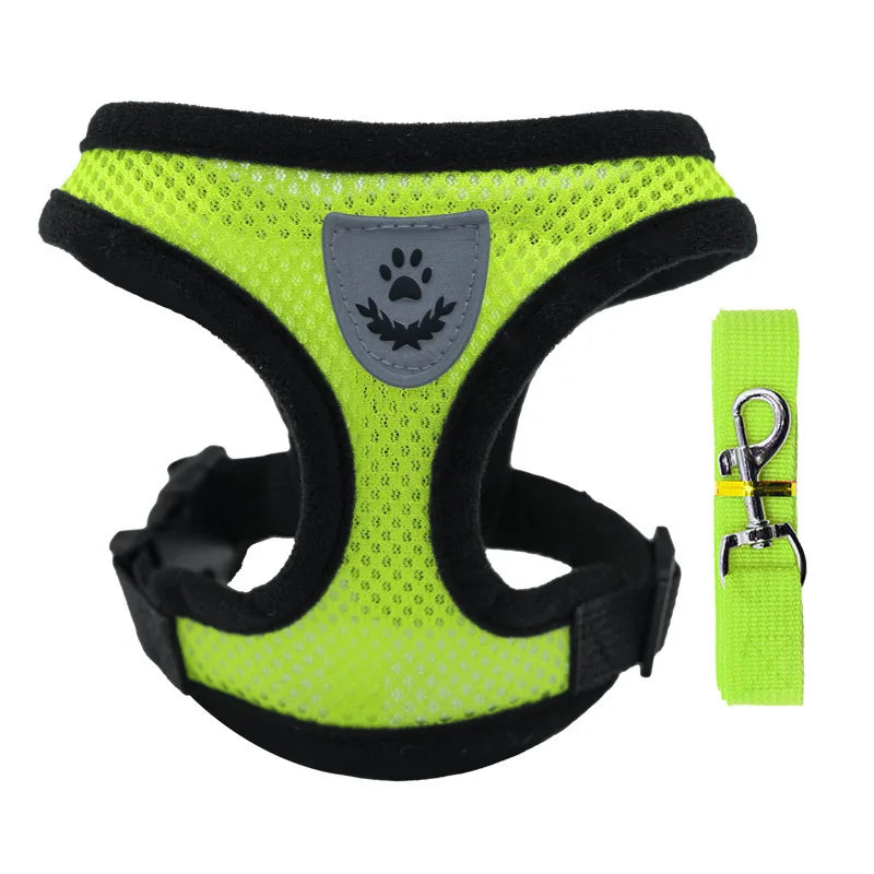 Mesh Dog Harness and Leash Set for Puppies and Small Dogs