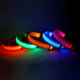 LED Light-Up Nylon Dog Collar with D-Ring and Buckle