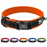 Personalized Dog Collar with Engraved Buckle, Reflective & Padded