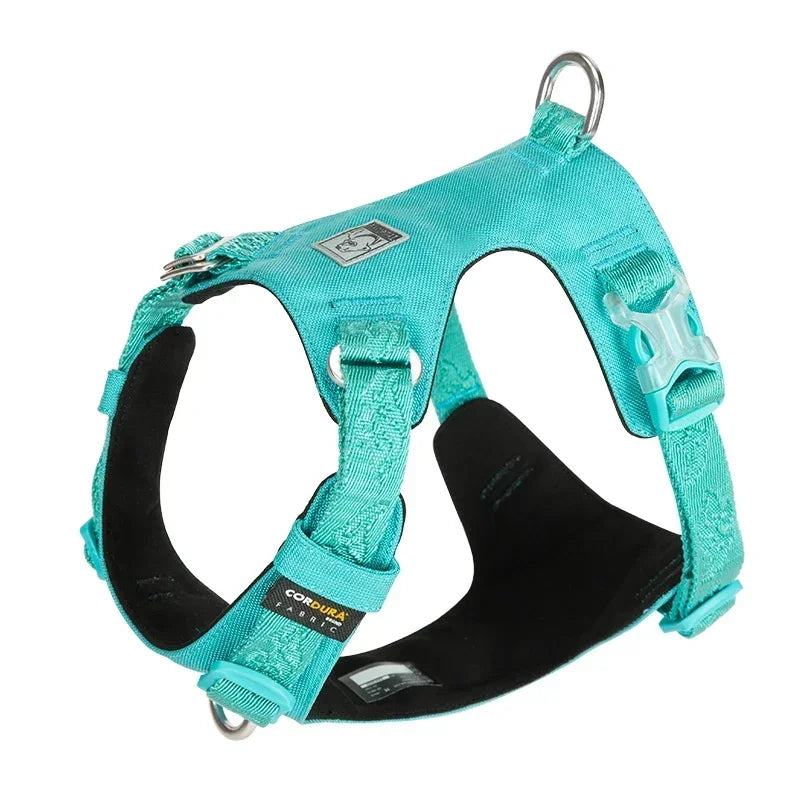 Lightweight Dog Harness with Aluminum D-Ring, Sizes XXS-XL
