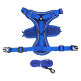 Reflective Dog Harness and Leash Set for Small Dogs