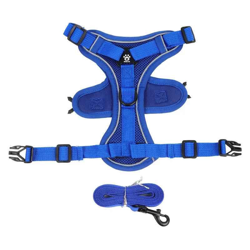 Reflective Dog Harness and Leash Set for Small Dogs