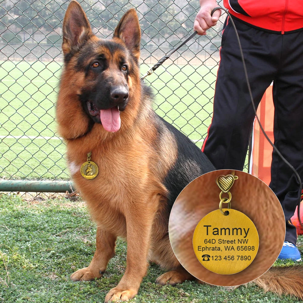 Personalized Dog Breed ID Tag with Engraved Name and Address