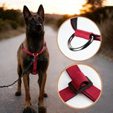 Three-Strap Escape Resistant Harness for Medium and Large Dogs