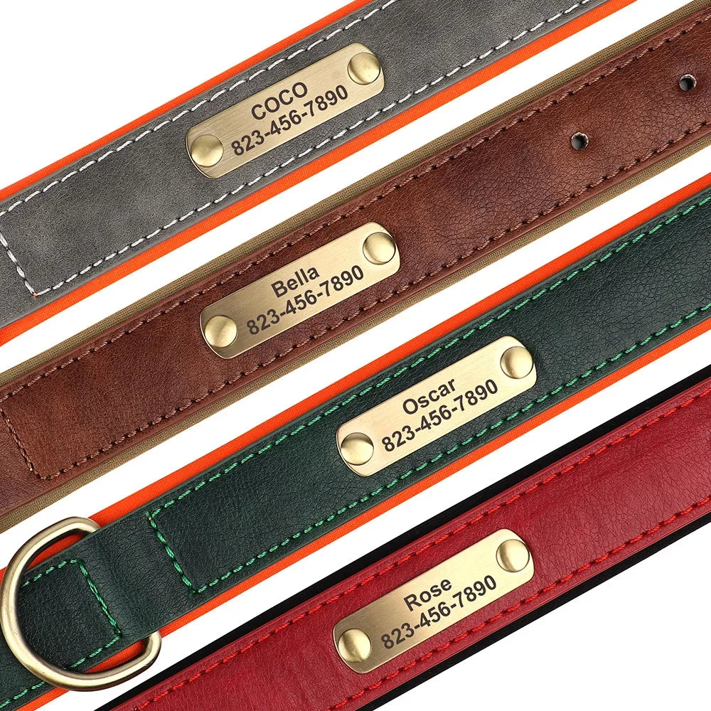 Personalized Padded Leather Dog Collar with Engraved Nameplate