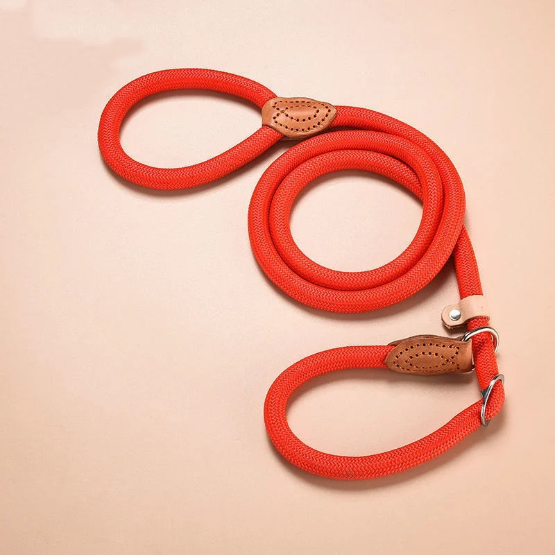 Braided Rope Slip Lead for Small and Medium Dogs