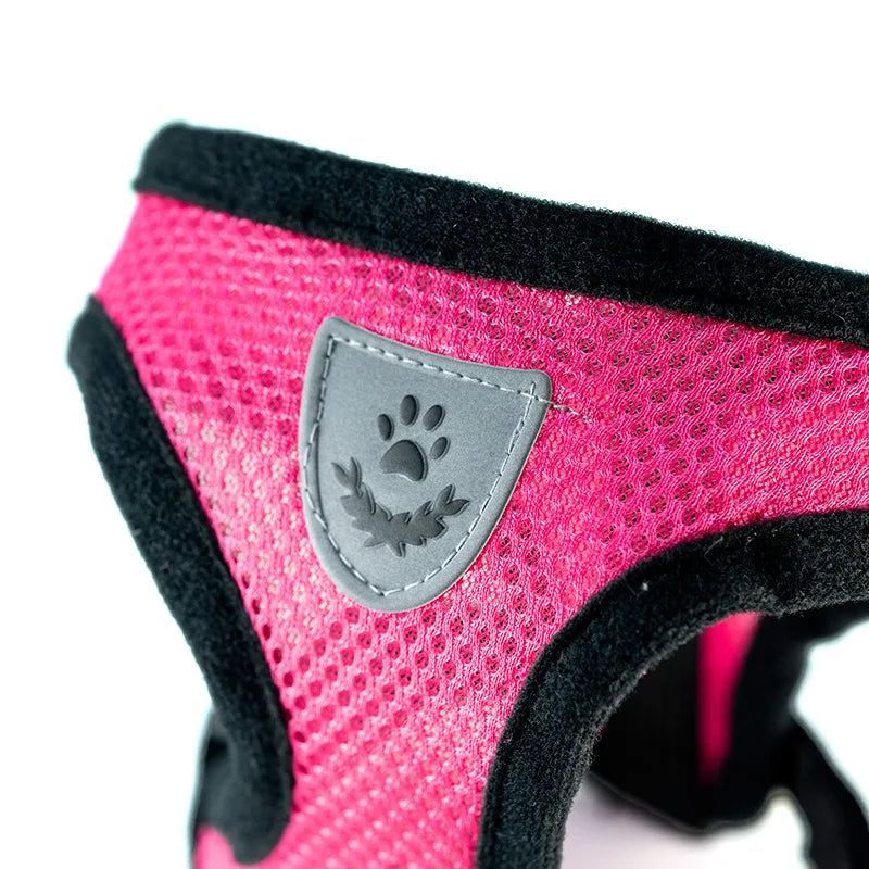 Mesh Dog Harness and Leash Set for Puppies and Small Dogs