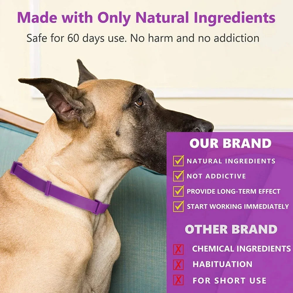 Lavender Calming Collar for Dogs, 60-Day Pheromone Blend