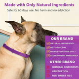 Lavender Calming Collar for Dogs, 60-Day Pheromone Blend