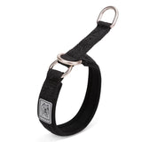 Padded Half Check Dog Collar with P Chain, Reflective Nylon