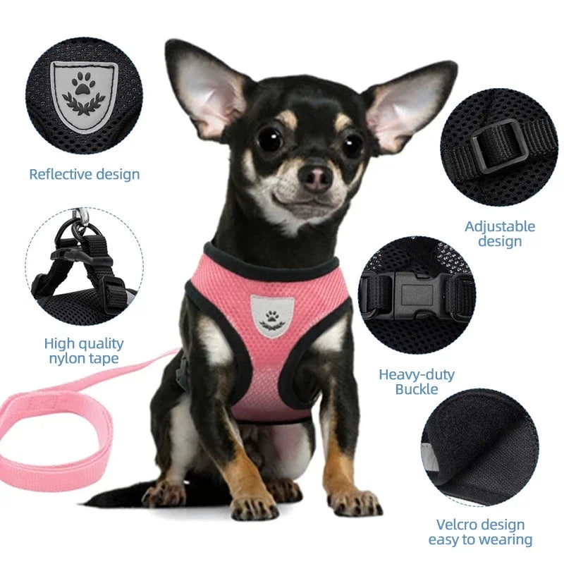 Mesh Dog Harness and Leash Set for Small Dogs and Cats