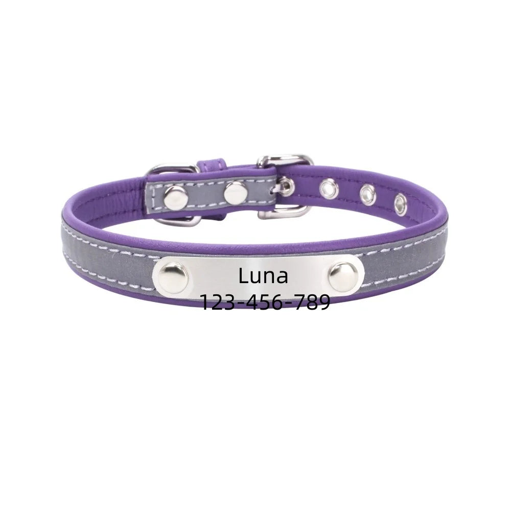 Personalized Dog Collar Gift for Dog Lovers, Engraved Name