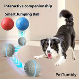 Smart Rolling Dog Ball That Moves on Its Own, USB Rechargeable