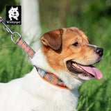 Martingale Dog Collar with Neoprene Padding and Reflective Stitching