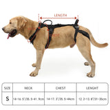 Dog Lift Harness with Handles for Senior Dogs and Rear Support
