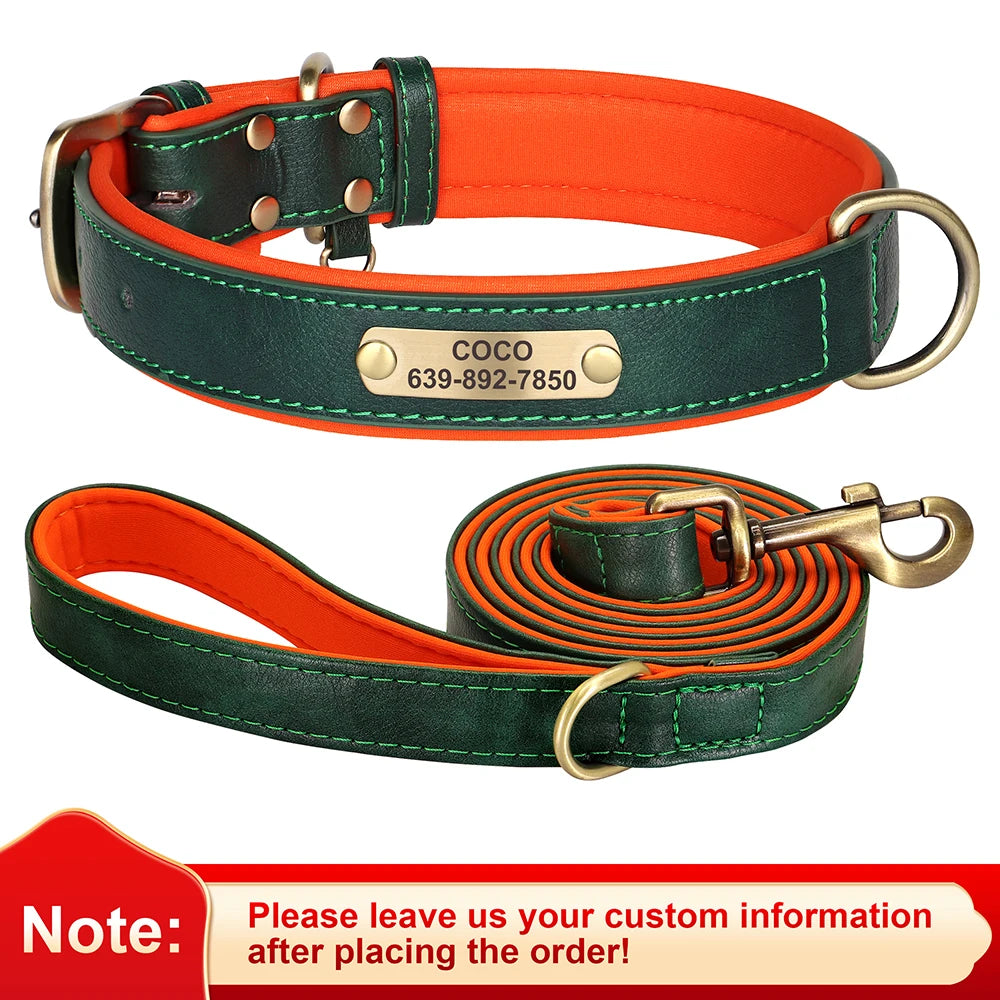 Personalized Leather Dog Collar with Engraved Nameplate, Pin Buckle