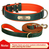Personalized Leather Dog Collar with Engraved Nameplate, Pin Buckle