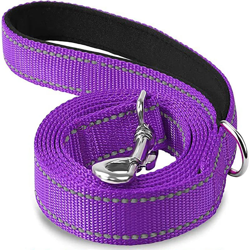 Reflective Nylon Dog Leash with Padded Handle, 4, 5 or 6 ft
