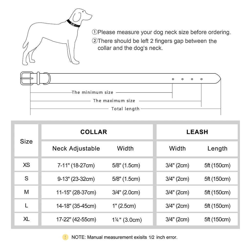 Personalized Dog Collar and Leash Set with Engraved Nameplate