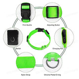 LED Dog Collar with 3 Light Modes, USB or Battery Powered