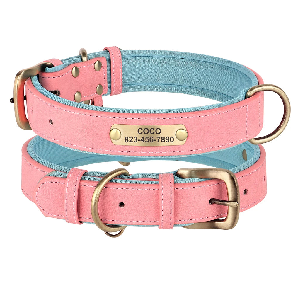 Personalized Leather Dog Collar with Engraved Nameplate, Pin Buckle