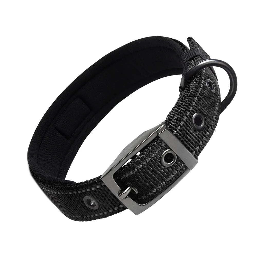 Padded Reflective Dog Collar with Metal Buckle, Medium to Large Dogs