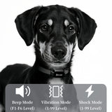 Dog Training Collar with Remote, 3300 ft Range, Beep, Vibration, Shock