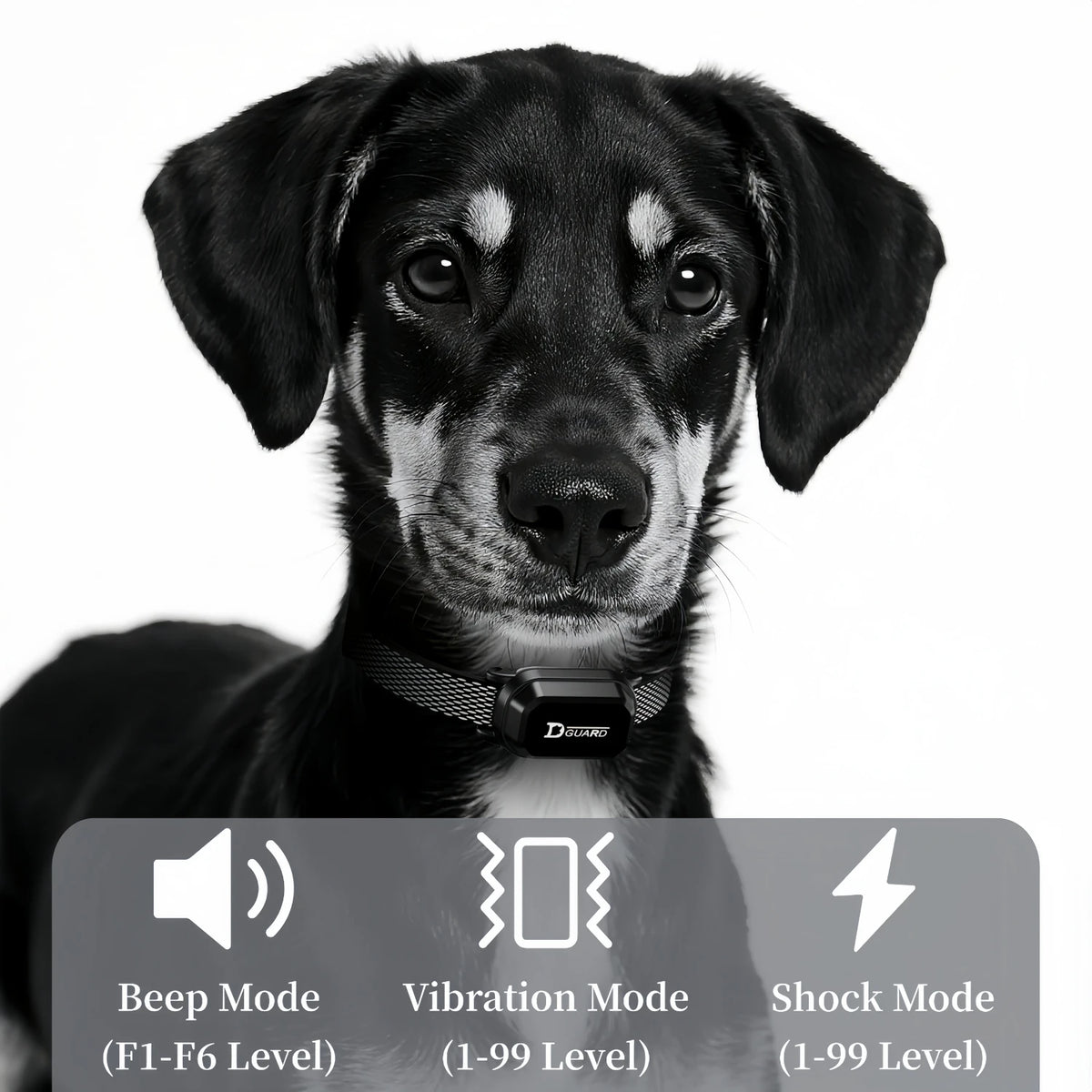 Dog Training Collar with Remote, 3300 ft Range, Beep, Vibration, Shock