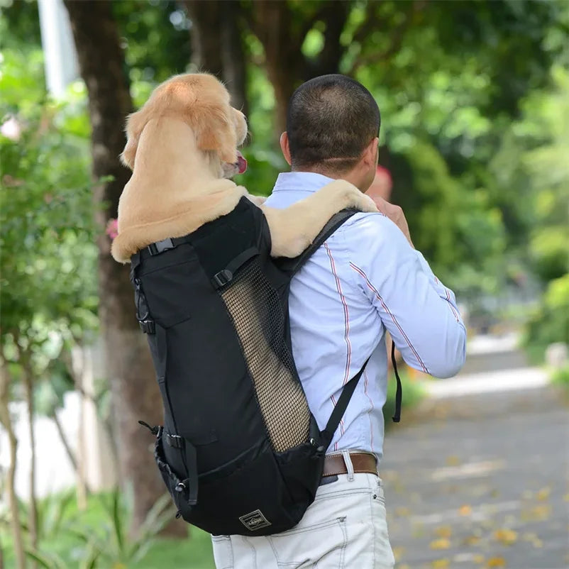 Reflective Motorcycle Dog Backpack with Cushioned Base