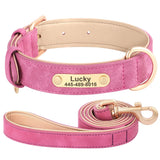 Personalized Leather Dog Collar with Engraved Nameplate, Pin Buckle