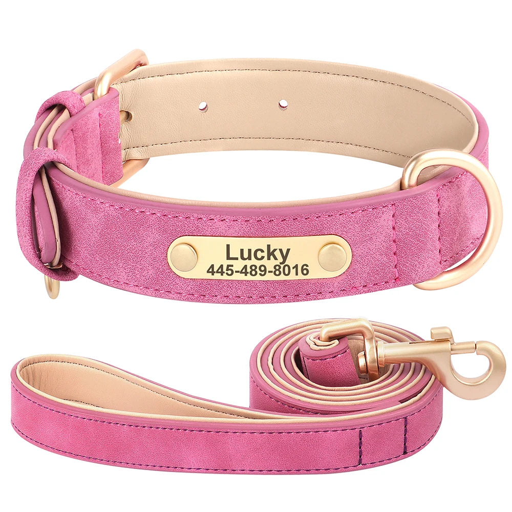 Personalized Leather Dog Collar with Engraved Nameplate, Pin Buckle
