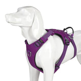 Escape Resistant Dog Harness with Zippered Pocket and Handle