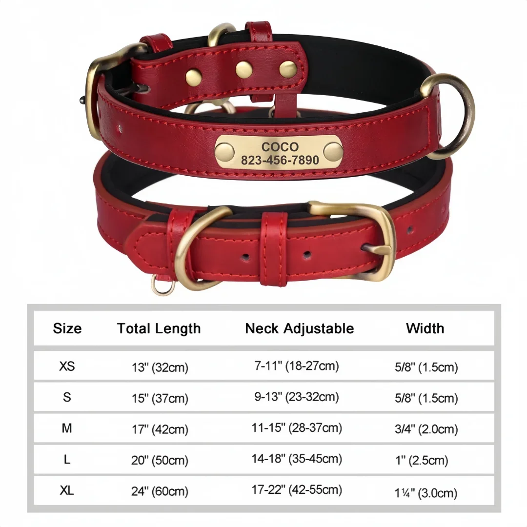 Personalized Padded Leather Dog Collar with Engraved Nameplate