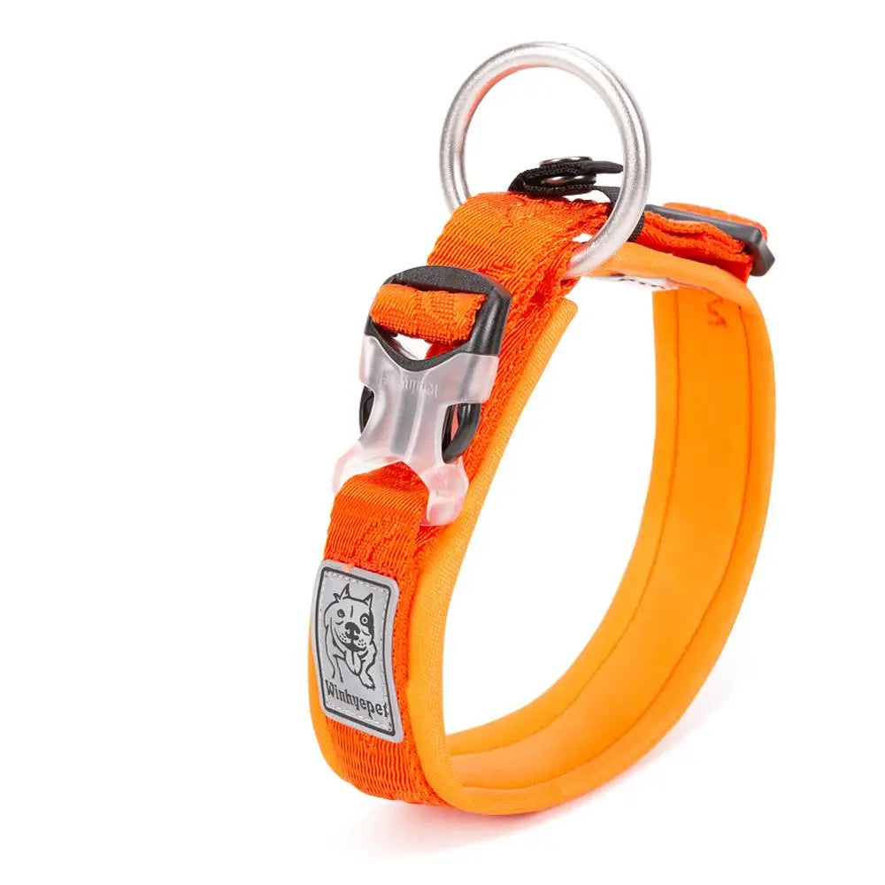 Adjustable Padded Dog Collar with Quick Release Buckle, XXS to 3XL