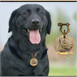 Custom Engraved Dog ID Tags in Bulk, 5 or 10 Pack