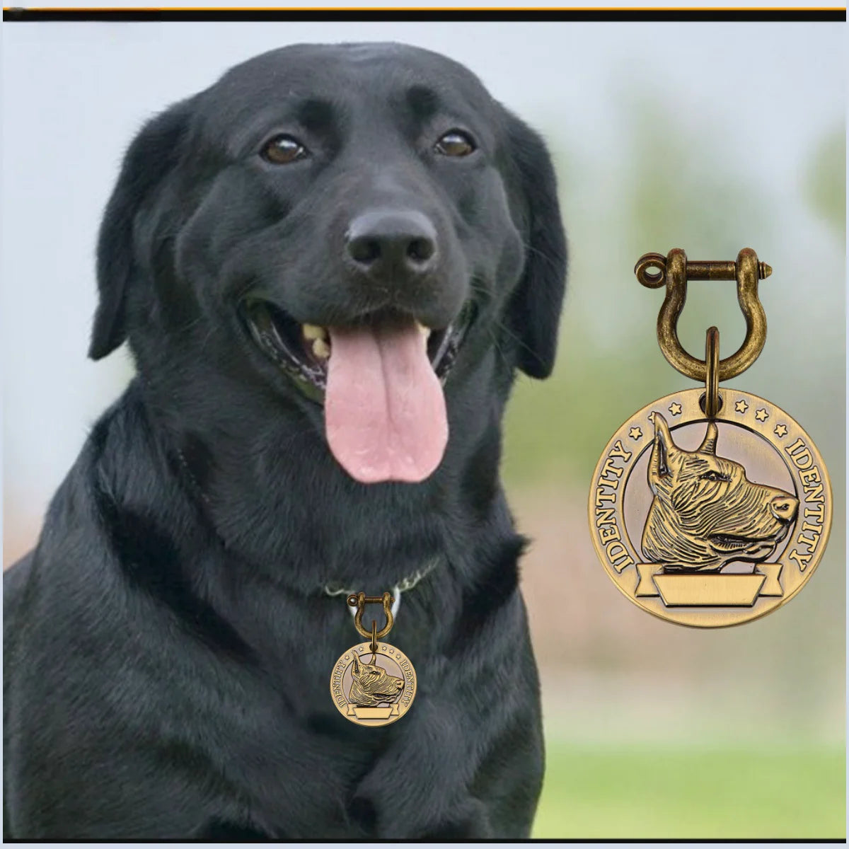 Custom Engraved Dog ID Tags in Bulk, 5 or 10 Pack