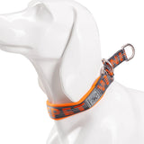Padded Half Check Dog Collar with P Chain, Reflective Nylon
