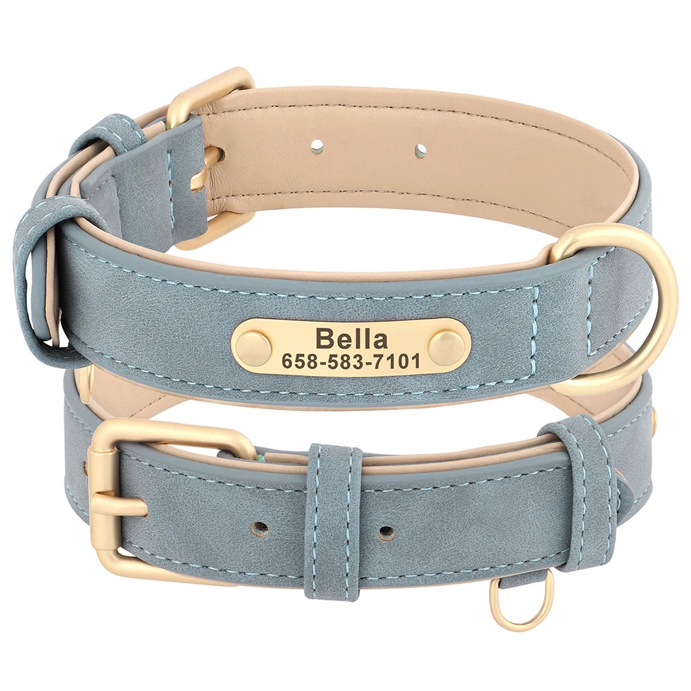Personalized Leather Dog Collar with Engraved Nameplate, Pin Buckle