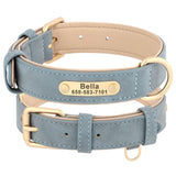 Personalized Leather Dog Collar with Engraved Nameplate, Pin Buckle