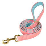 Personalized Dog Collar and Leash Set with Engraved Nameplate