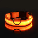LED Light-Up Nylon Dog Collar with D-Ring and Buckle